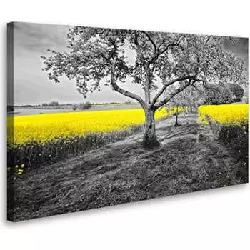 Постер Студия фотообоев