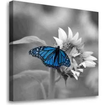 Постер Студия фотообоев