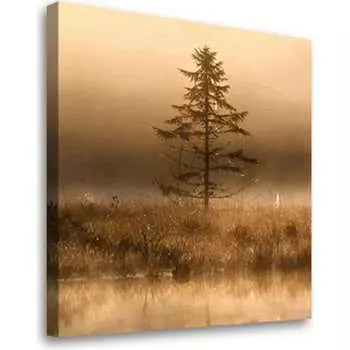 Постер Студия фотообоев