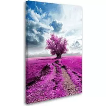 Постер Студия фотообоев