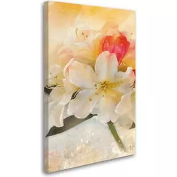 Постер Студия фотообоев