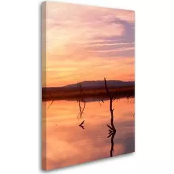 Постер Студия фотообоев