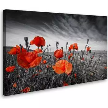 Постер Студия фотообоев