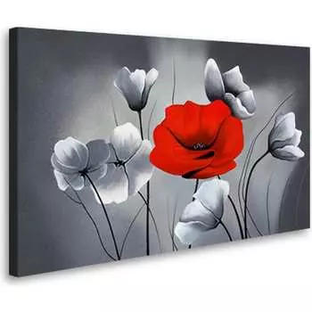 Постер Студия фотообоев