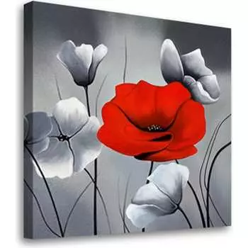 Постер Студия фотообоев