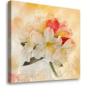 Постер Студия фотообоев