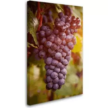 Постер Студия фотообоев