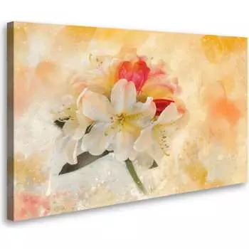 Постер Студия фотообоев