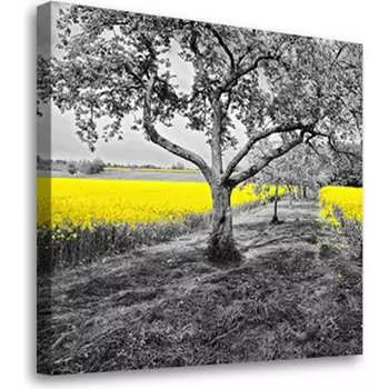 Постер Студия фотообоев