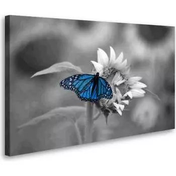 Постер Студия фотообоев