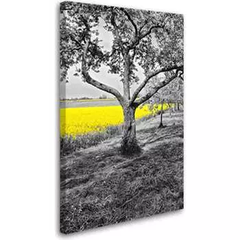 Постер Студия фотообоев