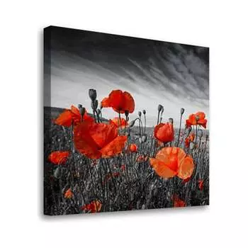 Постер Студия фотообоев