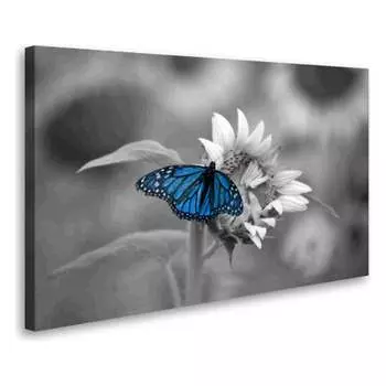 Постер Студия фотообоев