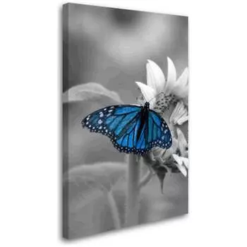 Постер Студия фотообоев