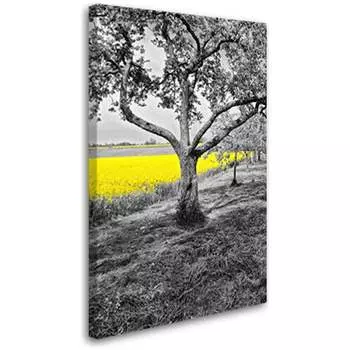 Постер Студия фотообоев