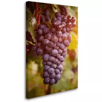 Постер Студия фотообоев