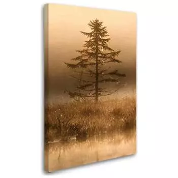 Постер Студия фотообоев