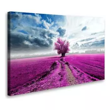 Постер Студия фотообоев