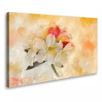 Постер Студия фотообоев