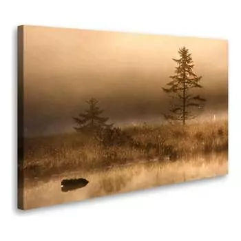 Постер Студия фотообоев