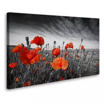 Постер Студия фотообоев