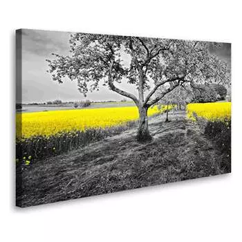 Постер Студия фотообоев