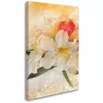 Постер Студия фотообоев