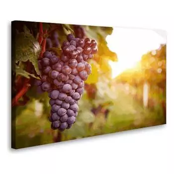 Постер Студия фотообоев