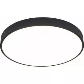 Потолочная люстра ARTE LAMP