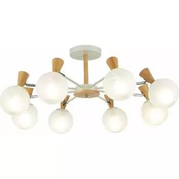 Потолочная люстра Evoluce SLE220702-08