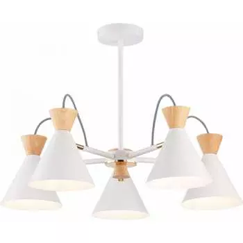 Потолочная люстра Evoluce SLE125102-05