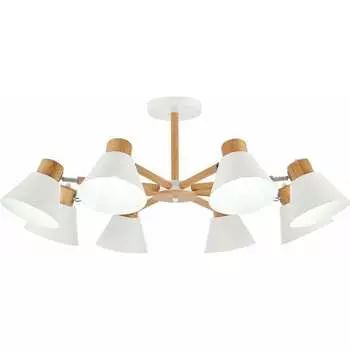 Потолочная люстра Evoluce SLE103702-08