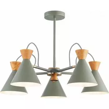 Потолочная люстра Evoluce SLE125112-05