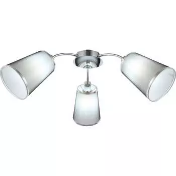 Потолочная люстра Evoluce MALEONTE SLE103002-03