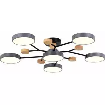 Потолочная люстра Evoluce