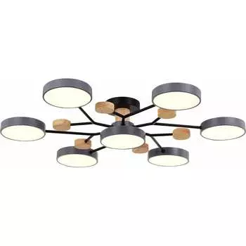 Потолочная люстра Evoluce