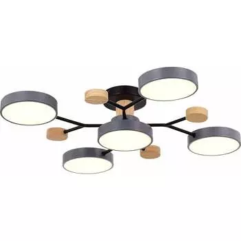 Потолочная люстра Evoluce