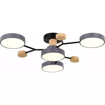 Потолочная люстра Evoluce