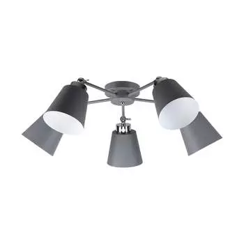 Потолочная люстра IMEX