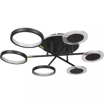 Потолочная люстра LOFT IT Megan 10164S Black