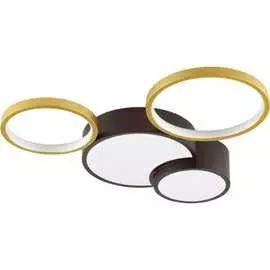 Потолочная люстра Lumion NORBERT 5255/64CL