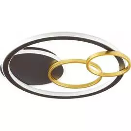 Потолочная люстра Lumion