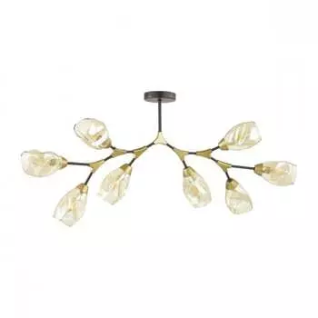 Потолочная люстра Lumion