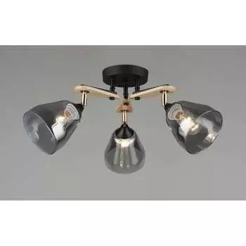 Потолочная люстра Мелодия Света