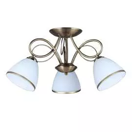 Потолочная люстра Omnilux