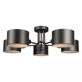 Потолочная люстра Omnilux