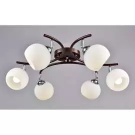 Потолочная люстра РОССВЕТ