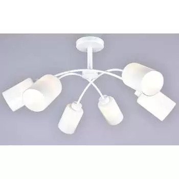 Потолочная люстра РОССВЕТ 21830 WT/6C