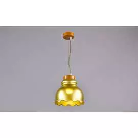 Потолочно-подвесной светильник РОССВЕТ