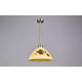 Потолочно-подвесной светильник РОССВЕТ